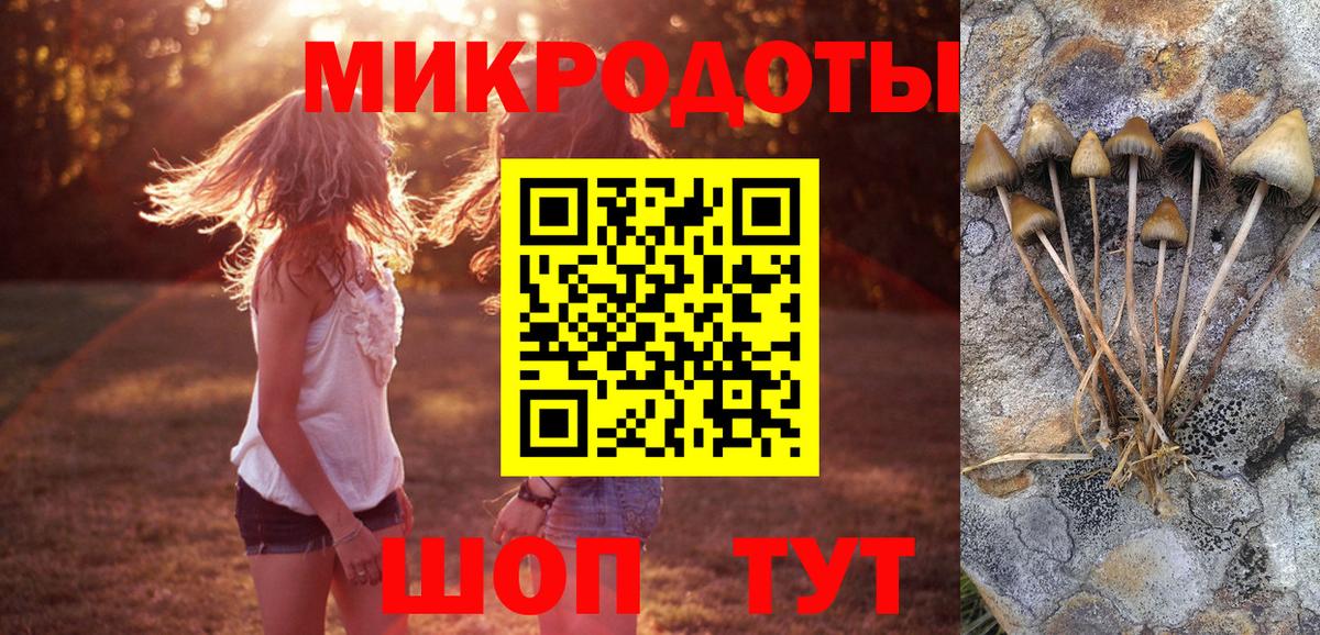 Псилоцибиновые грибы прущие грибы  Вход с VPN  Псилоцибиновые грибы MAGIC MUSHROOMS  Электросталь 